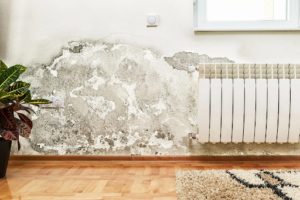 Tips for Protecting Your Property from Water Damage and Surface Deterioration